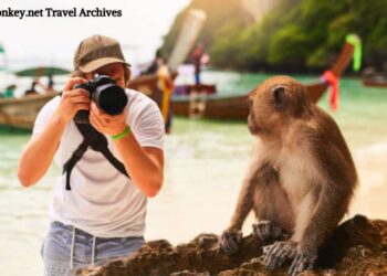 Albino-Monkey.net Travel Archives